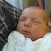 bild0081